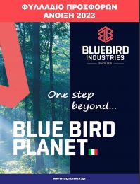 Blue bird 2023